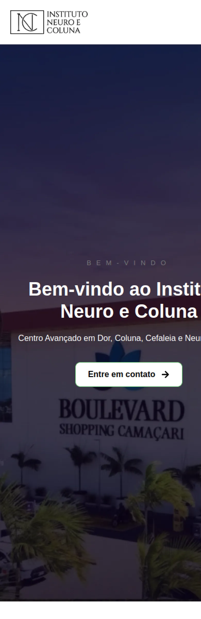 Site no celular